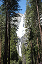 090328-8798_Yosemite_Falls