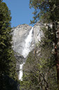 090328-8805_Yosemite_Falls