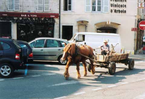 Photo, man driving his horse cart in town