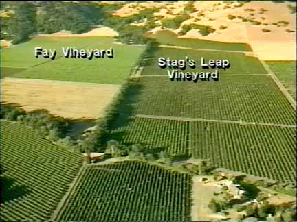 illustration of different wineries