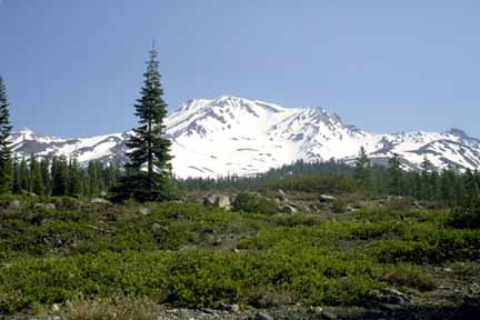 photo of Mount Shasta, view 2