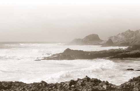 Surf pounding on the rocks