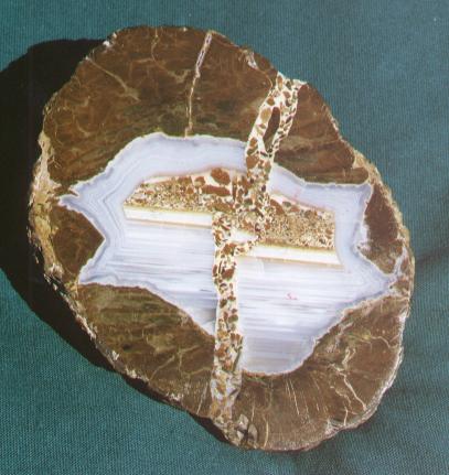 close-up photo of thunderegg