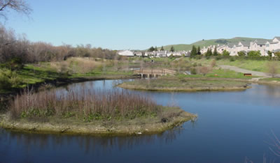 photo pond and houses