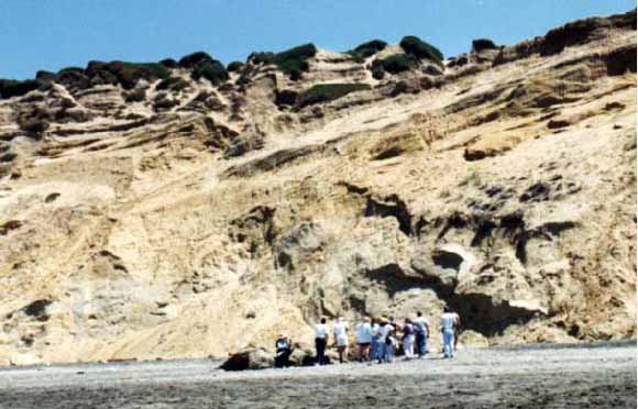 photo of people looking at faulting in a road cut