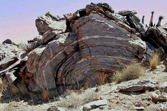 photo of folded rock in outcrop