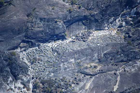 photo of meter-size basins in granite bedrock