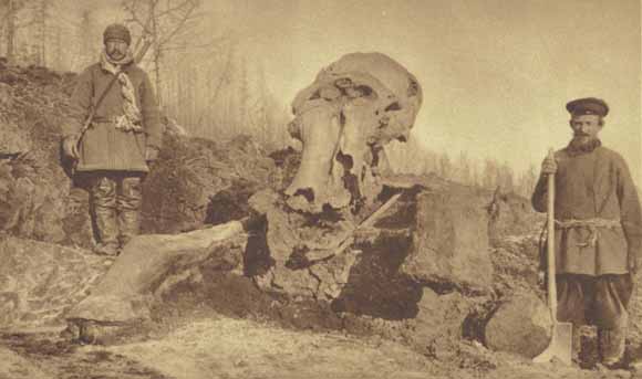 old photo of Russian field workers and a very large skull