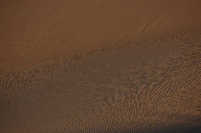 080419-5251_Sand_dunes