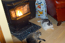 081208-8307_Warm_kitties