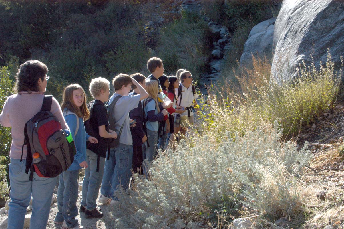 051109-3487_Backlit_hikers