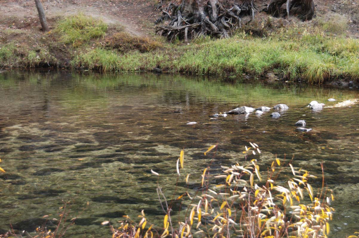 051110-3689_Merced_River