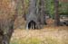 051110-3661_Hollow_tree